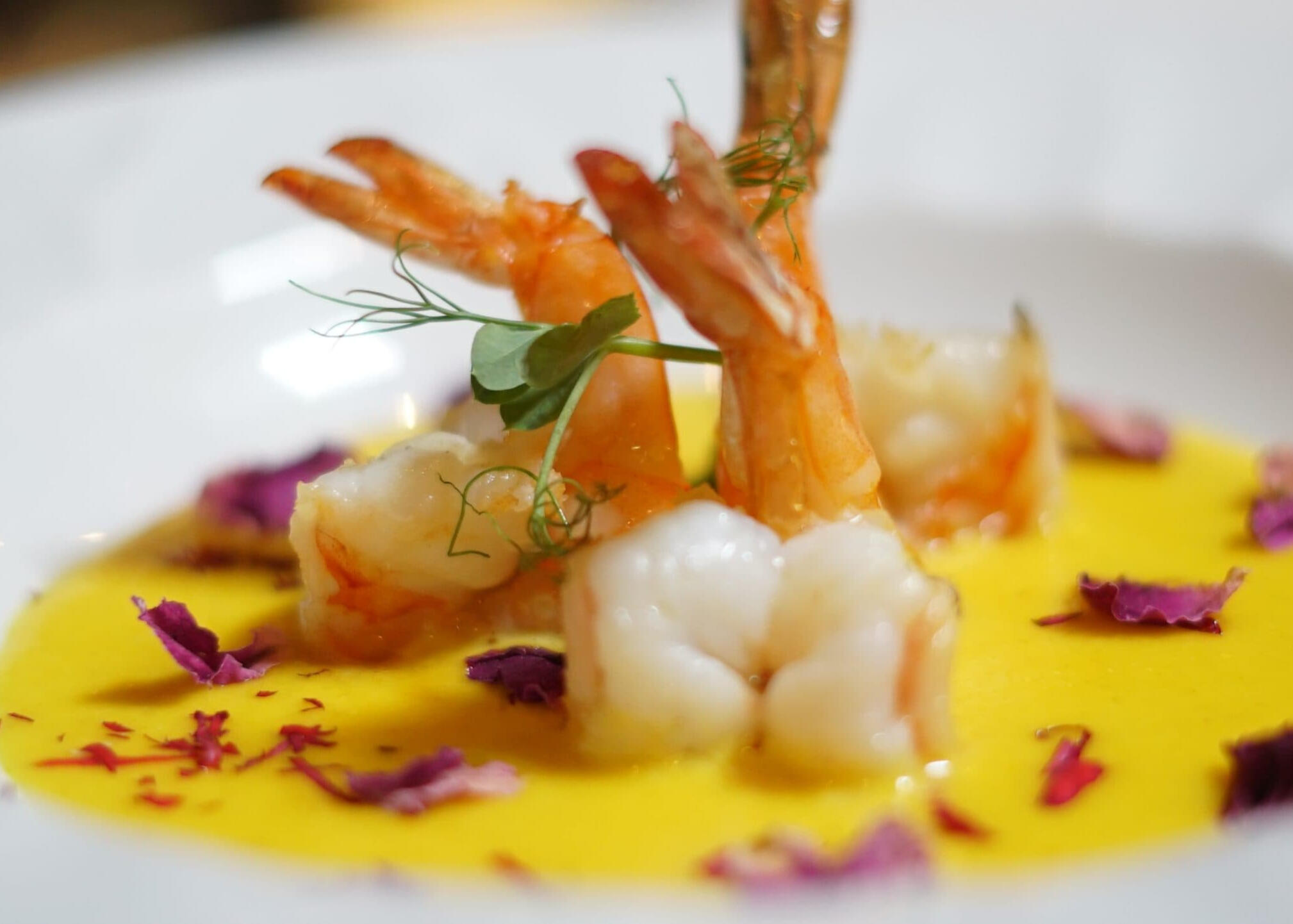 Indie Spice Grill Naas